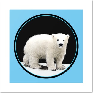 Polar Bear Cub Posters and Art